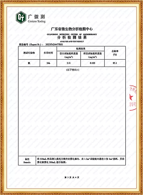 除氨气检测报告